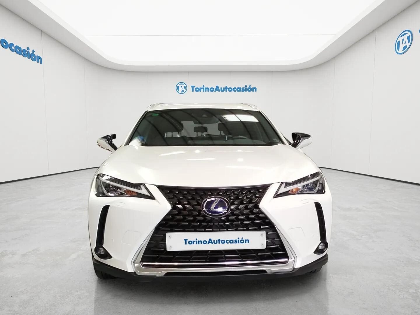 LEXUS EXECUTIVE