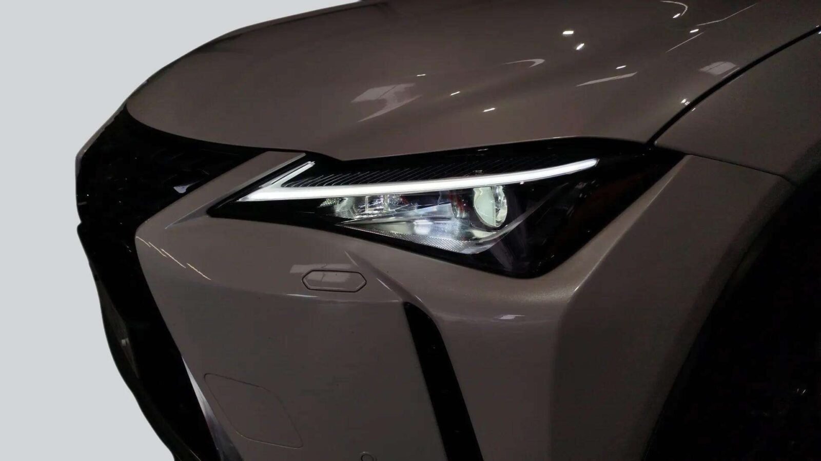LEXUS EXECUTIVE