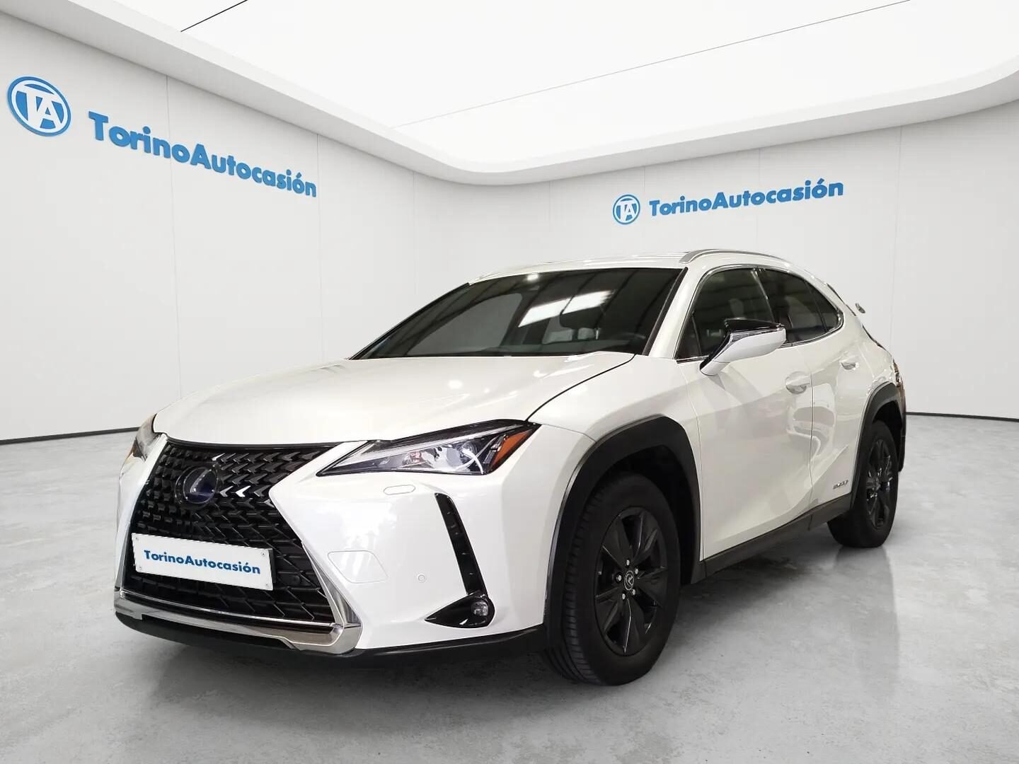 LEXUS EXECUTIVE