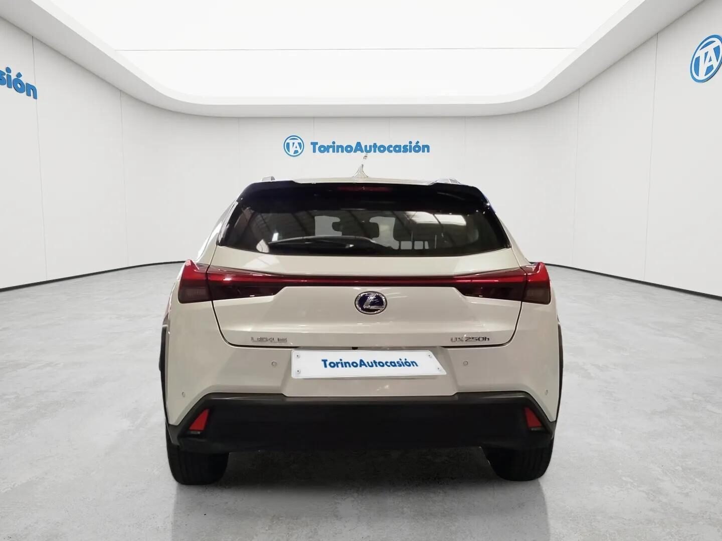 LEXUS EXECUTIVE