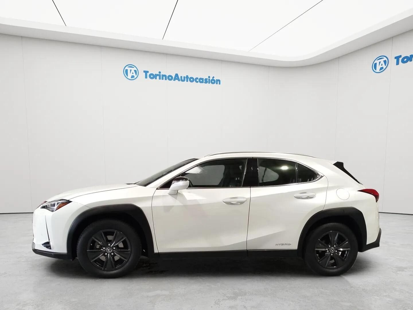 LEXUS EXECUTIVE