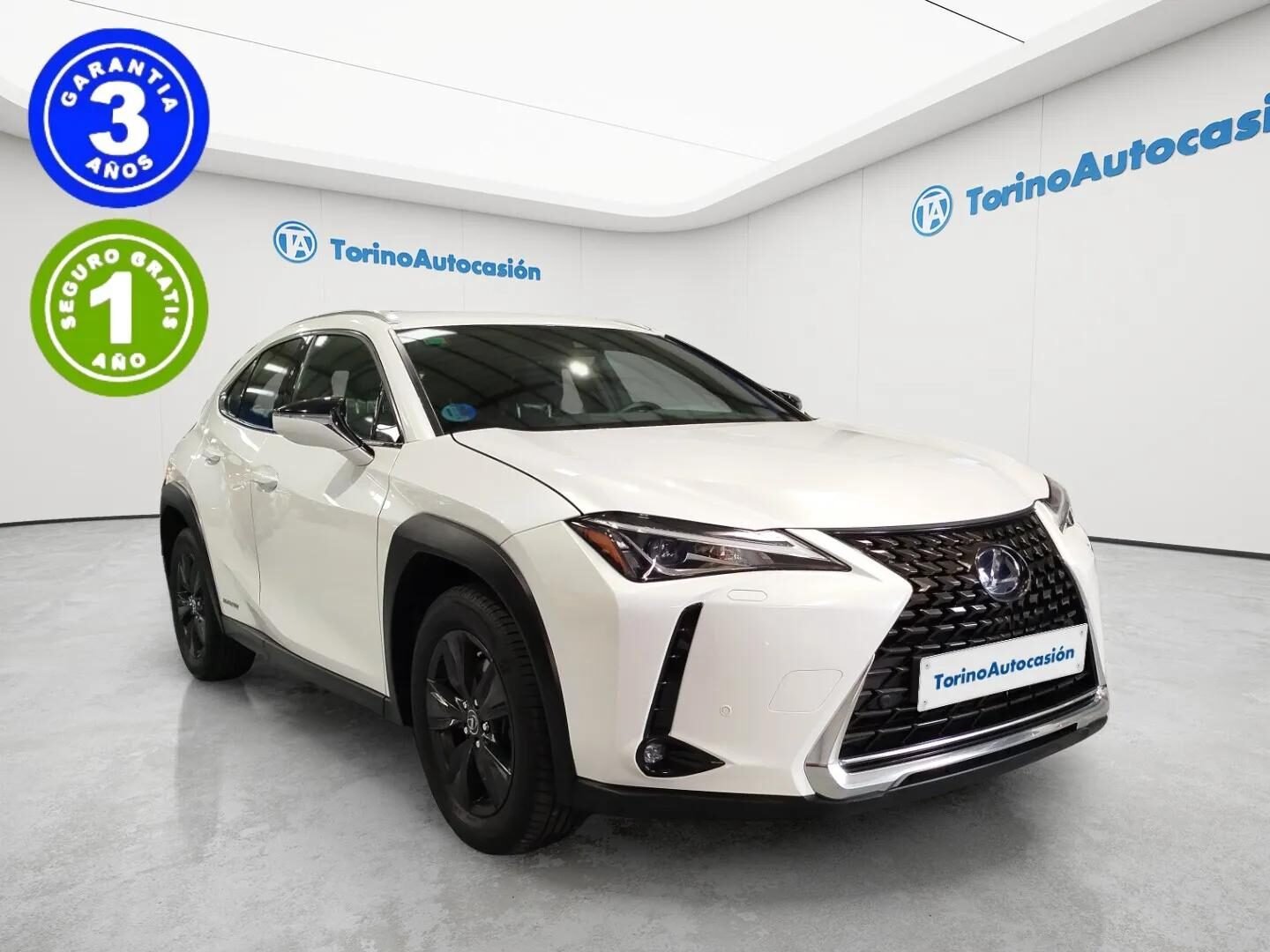 LEXUS EXECUTIVE
